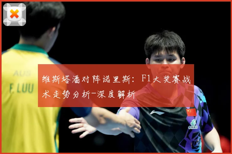 维斯塔潘对阵诺里斯：F1大奖赛战术走势分析-深度解析