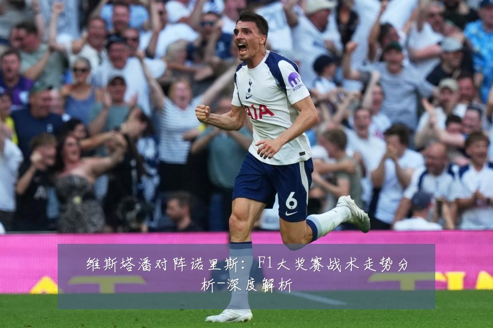 维斯塔潘对阵诺里斯:F1大奖赛战术走势分析-深度解析
