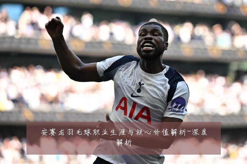 安赛龙羽毛球职业生涯与核心价值解析-深度解析